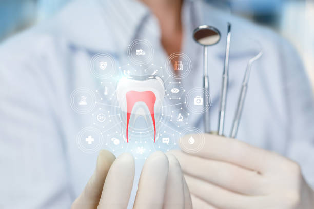 Flora, MS Holistic Dental Care Services Company